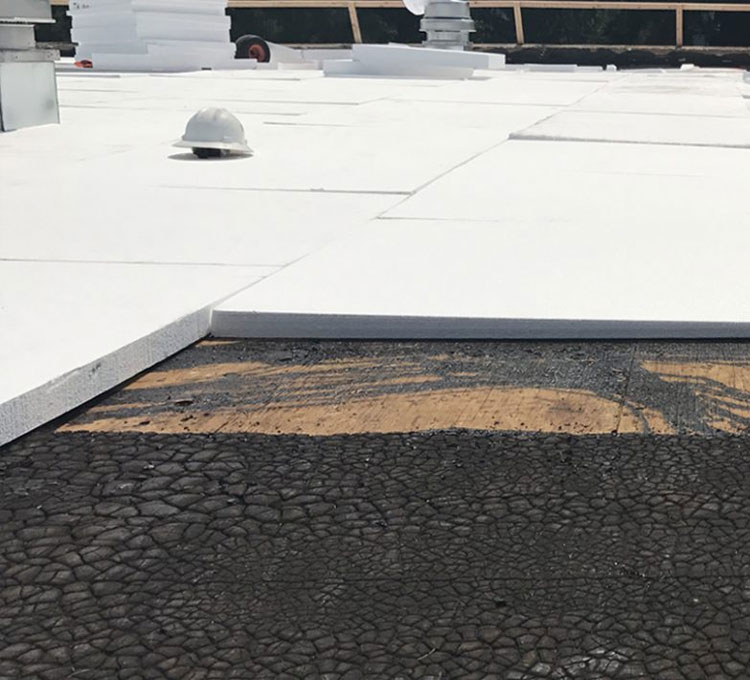 Roof Liners